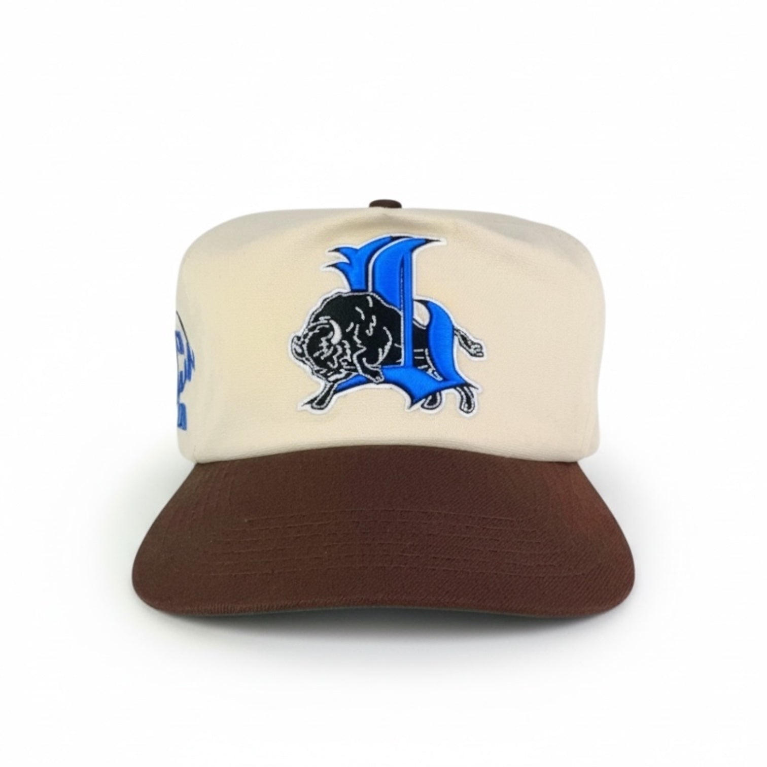 BISON Canvas Snapback (Unstructured)