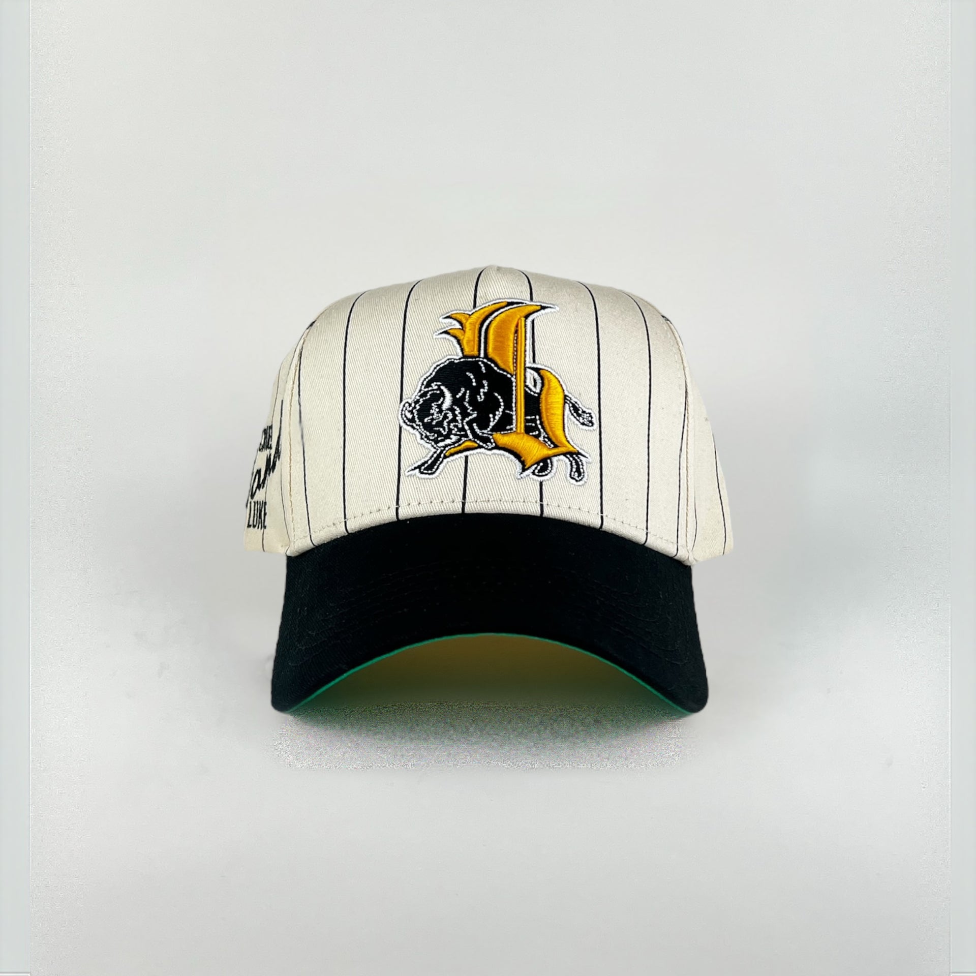 BISON Pinstripe Snapback