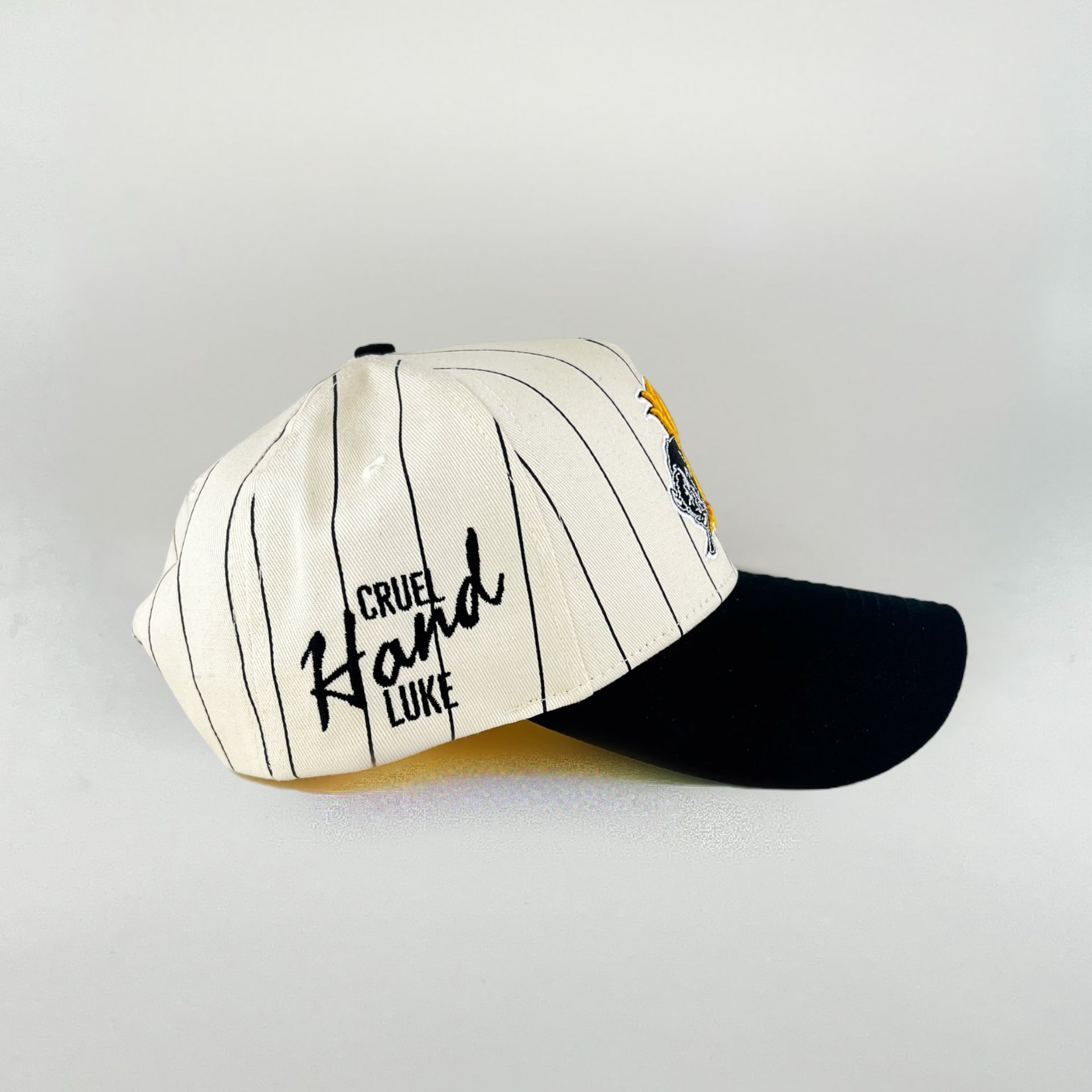 BISON Pinstripe Snapback