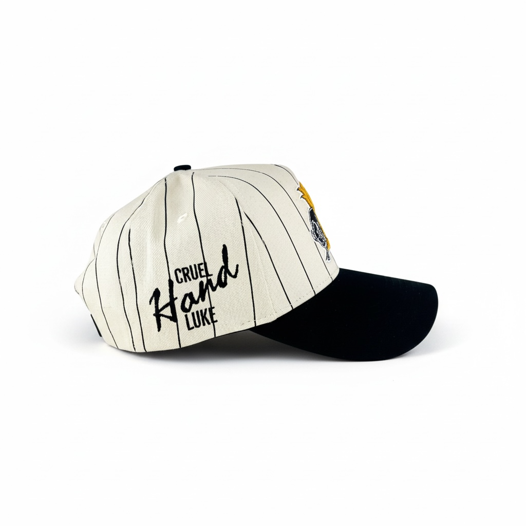 BISON Pinstripe Snapback