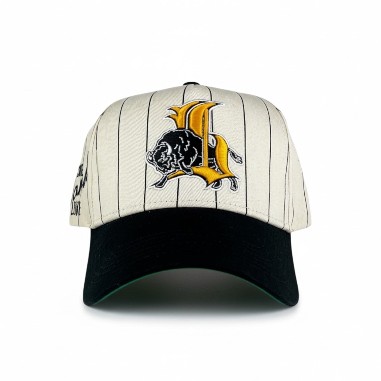 BISON Pinstripe Snapback
